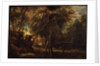 A Forest at Dawn with a Deer Hunt, c.1635 by Peter Paul Rubens