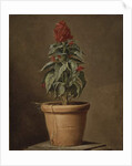 A Potted Plant by Henri Horace Roland de la Porte
