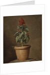 A Potted Plant by Henri Horace Roland de la Porte