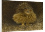 An Eagle Owl, 1905 by Bruno Andreas Liljefors