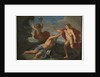 Apollo and Daphne, c.1740 by Placido Costanzi