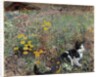 Cat on a flowery meadow, 1887 by Bruno Andreas Liljefors