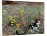 Cat on a flowery meadow, 1887 by Bruno Andreas Liljefors