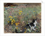 Cat on a flowery meadow, 1887 by Bruno Andreas Liljefors