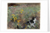 Cat on a flowery meadow, 1887 by Bruno Andreas Liljefors