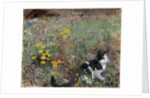 Cat on a flowery meadow, 1887 by Bruno Andreas Liljefors