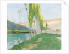 Poplars Growing near a Watercourse by Sven Richard Bergh