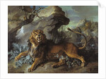 The Lion and the Fly, 1732 by Jean-Baptiste Oudry
