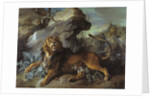 The Lion and the Fly, 1732 by Jean-Baptiste Oudry