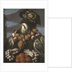 Winter, c.1580-1600 by Giuseppe Arcimboldo