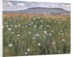 Meadow Piece, c.1901 by Ferdinand Hodler