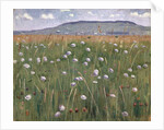Meadow Piece, c.1901 by Ferdinand Hodler