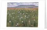 Meadow Piece, c.1901 by Ferdinand Hodler