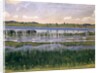 Lake Burgäschi, c.1901 by Ferdinand Hodler