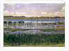 Lake Burgäschi, c.1901 by Ferdinand Hodler
