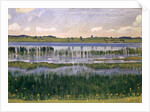 Lake Burgäschi, c.1901 by Ferdinand Hodler