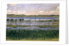 Lake Burgäschi, c.1901 by Ferdinand Hodler