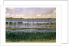 Lake Burgäschi, c.1901 by Ferdinand Hodler