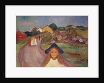 Road in Aasgaardstrand, 1901 by Edvard Munch