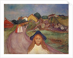 Road in Aasgaardstrand, 1901 by Edvard Munch