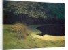The Pond, 1909 by Felix Edouard Vallotton