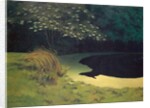 The Pond, 1909 by Felix Edouard Vallotton