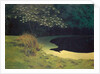 The Pond, 1909 by Felix Edouard Vallotton