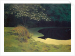 The Pond, 1909 by Felix Edouard Vallotton