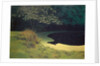 The Pond, 1909 by Felix Edouard Vallotton