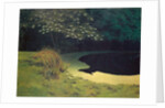 The Pond, 1909 by Felix Edouard Vallotton