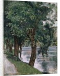 Willow Trees at the Rhone, c.1885 by Ferdinand Hodler