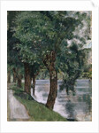 Willow Trees at the Rhone, c.1885 by Ferdinand Hodler