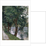 Willow Trees at the Rhone, c.1885 by Ferdinand Hodler