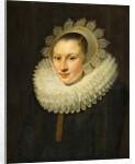 Portrait of a Young Woman by Michiel Jansz. van Miereveld