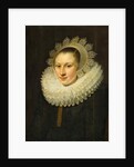 Portrait of a Young Woman by Michiel Jansz. van Miereveld