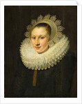 Portrait of a Young Woman by Michiel Jansz. van Miereveld