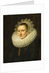 Portrait of a Young Woman by Michiel Jansz. van Miereveld