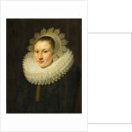 Portrait of a Young Woman by Michiel Jansz. van Miereveld