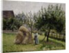Apple Trees in Eragny, Sunny Morning, 1903 by Camille Pissarro
