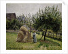 Apple Trees in Eragny, Sunny Morning, 1903 by Camille Pissarro