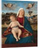 Madonna and Child, c.1505-10 by Vittore Carpaccio