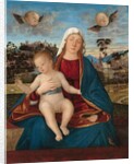 Madonna and Child, c.1505-10 by Vittore Carpaccio