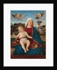 Madonna and Child, c.1505-10 by Vittore Carpaccio