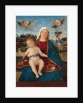 Madonna and Child, c.1505-10 by Vittore Carpaccio