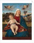 Madonna and Child, c.1505-10 by Vittore Carpaccio