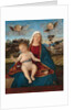 Madonna and Child, c.1505-10 by Vittore Carpaccio