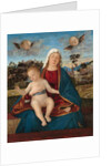 Madonna and Child, c.1505-10 by Vittore Carpaccio