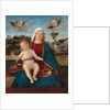 Madonna and Child, c.1505-10 by Vittore Carpaccio