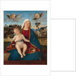 Madonna and Child, c.1505-10 by Vittore Carpaccio