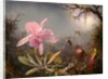 Cattleya Orchid and Three Hummingbirds, 1871 by Martin Johnson Heade